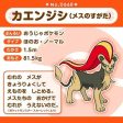 Pokemon Center Original Pokemon Fit Pyroar Female Plush Doll JAPAN OFFICIAL For Cheap